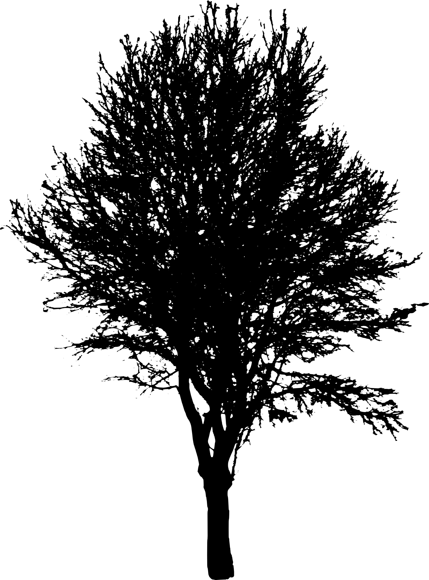 Silhouette albero nero PNG Scarica limmagine