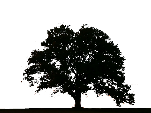Imagen de PNG de silueta de árbol negro
