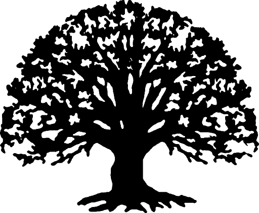 Zwarte boom silhouet PNG Transparant Beeld