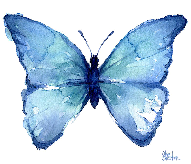 Blue الفراشات PNG صورة شفافة