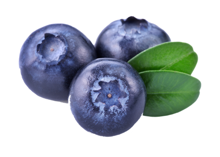 Blueberry Free PNG-Afbeelding
