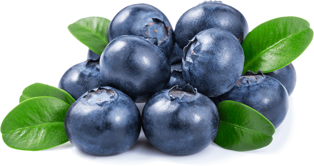 Blueberry PNG Download Afbeelding