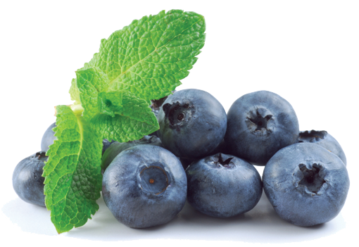 Immagine del PNG Blueberry