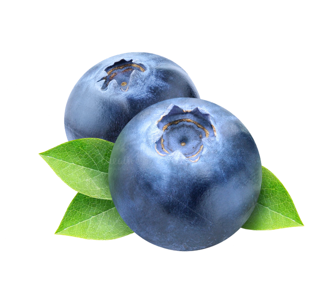 Blueberry PNG Foto
