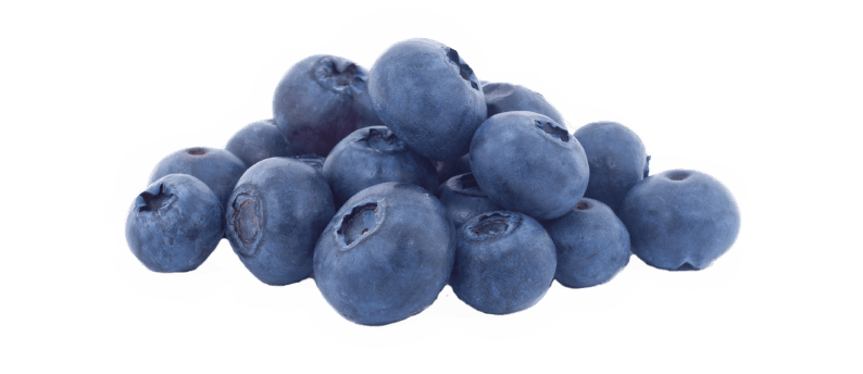 Gambar Blueberry Transparan