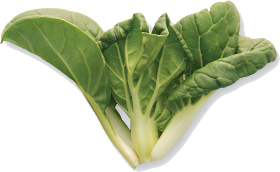 Bok choy PNG Download Afbeelding
