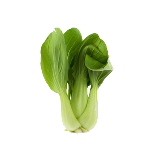 Bok Choy PNG Image Background