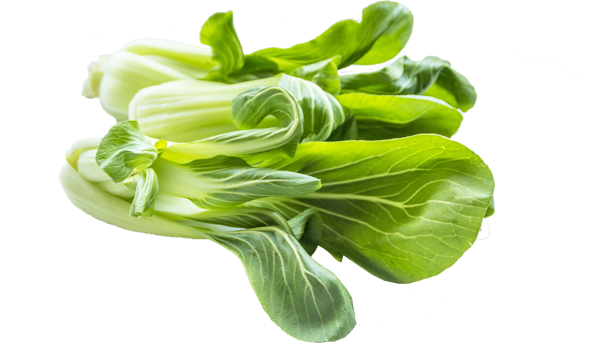 Bok Choy PNG-Afbeelding