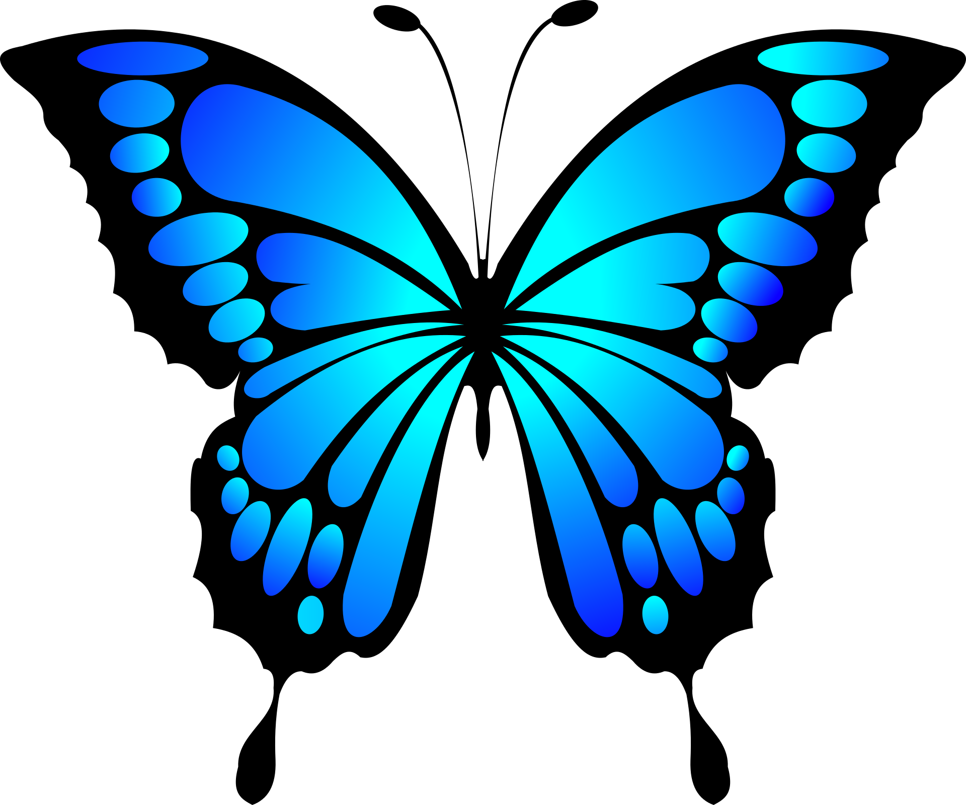 Botânica Blue Butterflies PNG Baixar Imagem