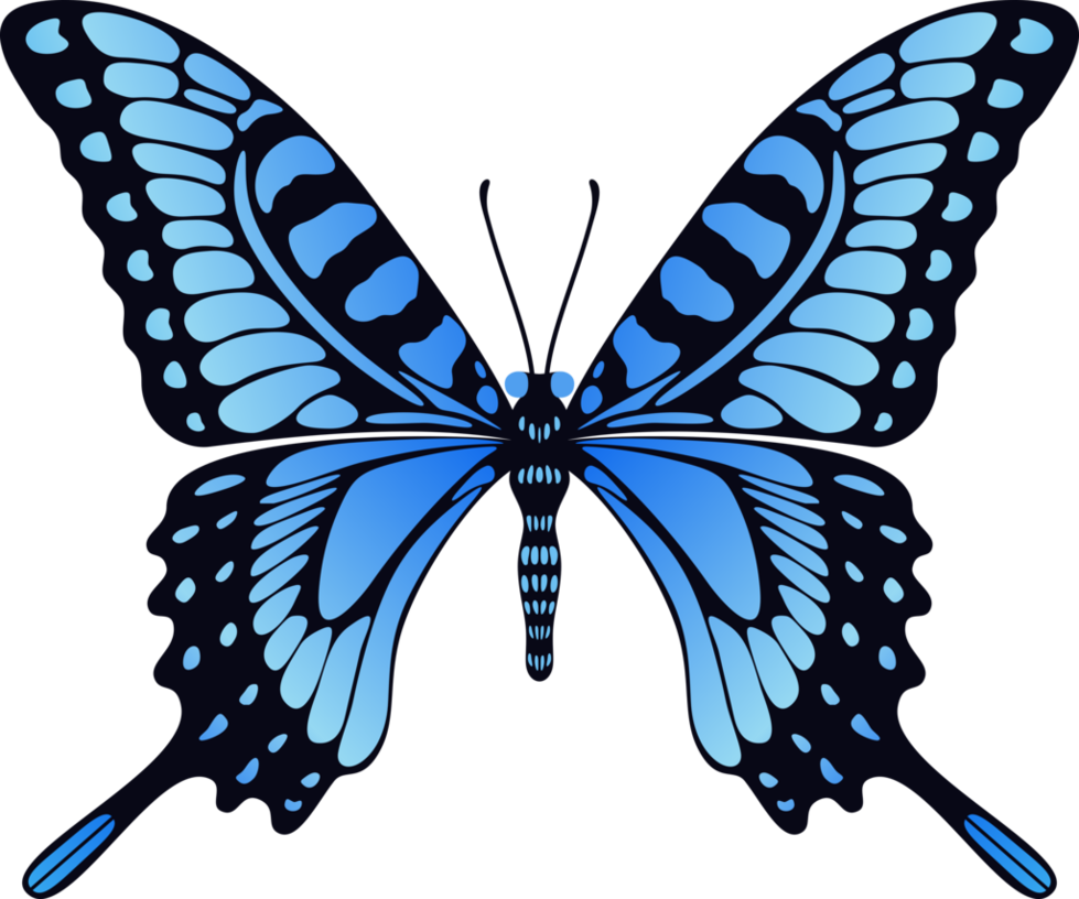 Botânica azul borboletas PNG imagens de fundo