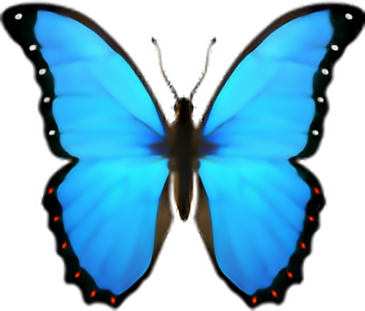 Ботанические голубые бабочки PNG Image