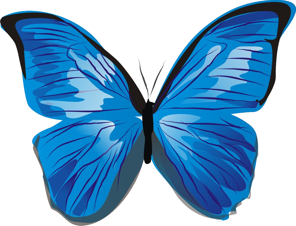 Ботанические голубые бабочки PNG прозрачное изображение