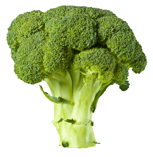 Imagem de alta qualidade de brócolis PNG