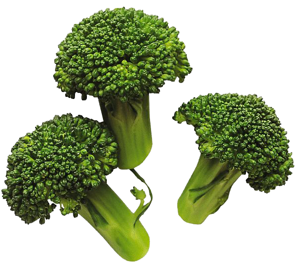 Imagen PNG de brócoli