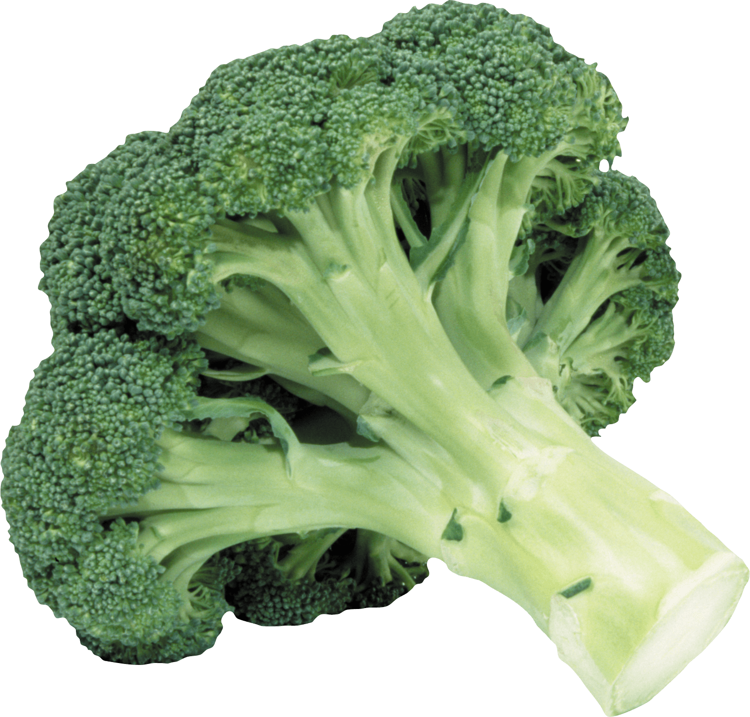 Broccoli PNG Foto