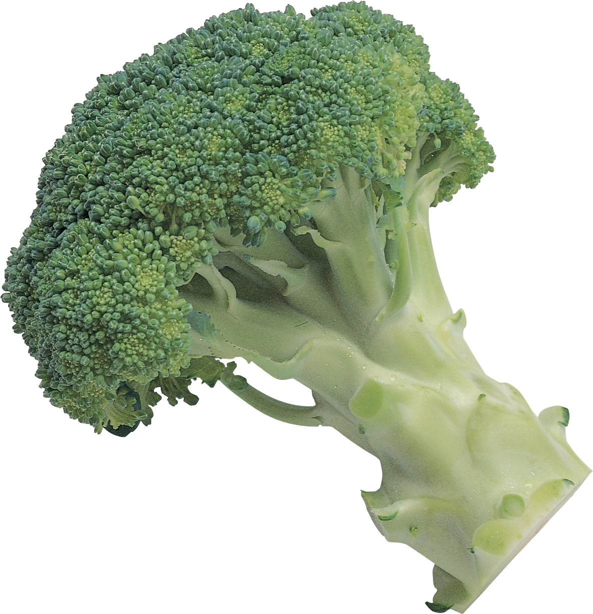 Broccoli Transparant Beeld