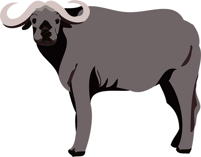 Buffalo Clipart PNG Free Download
