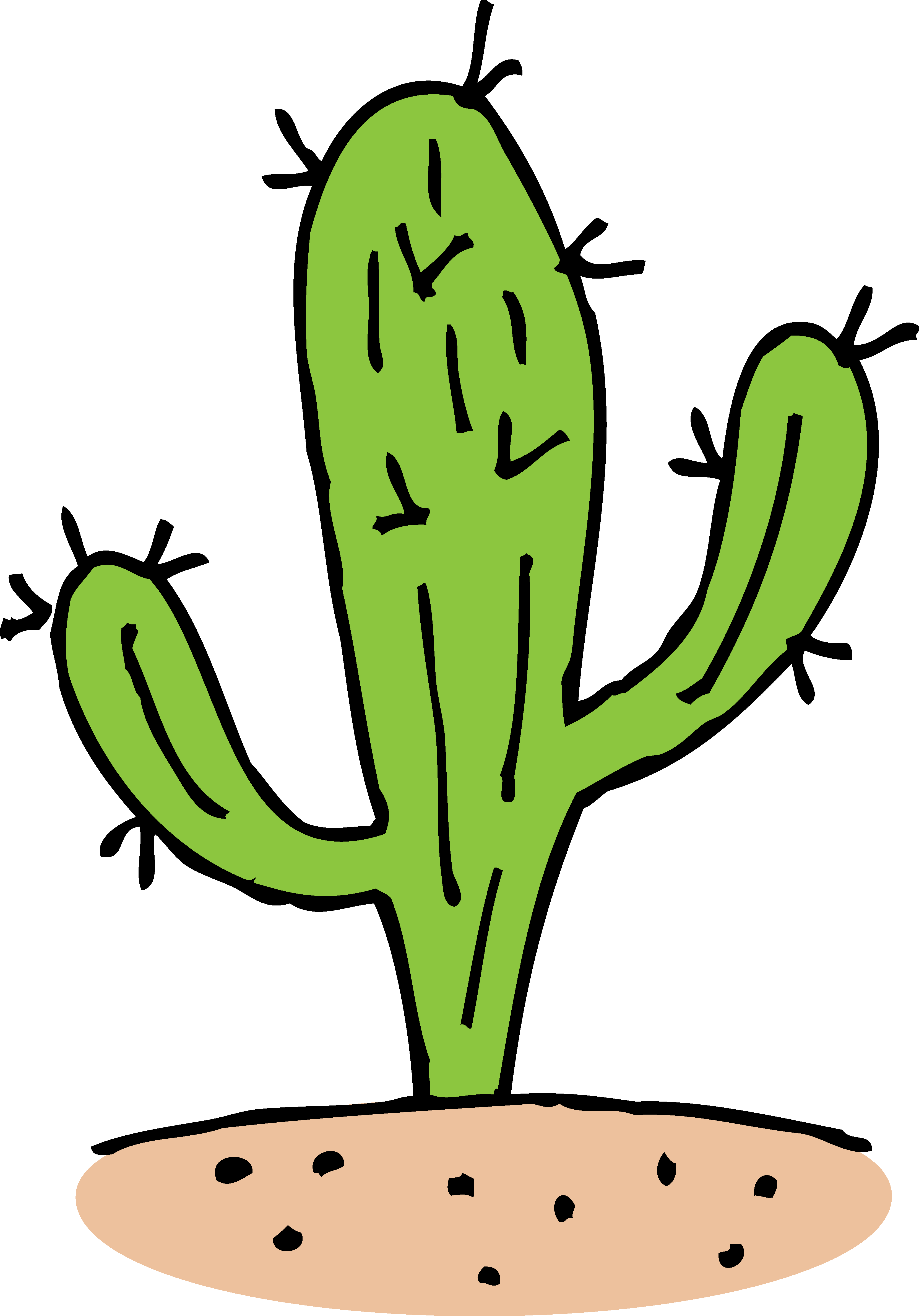 Cactus Prickle Free PNG Image