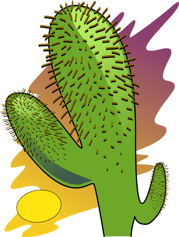 Cactus prikkel PNG Download Afbeelding