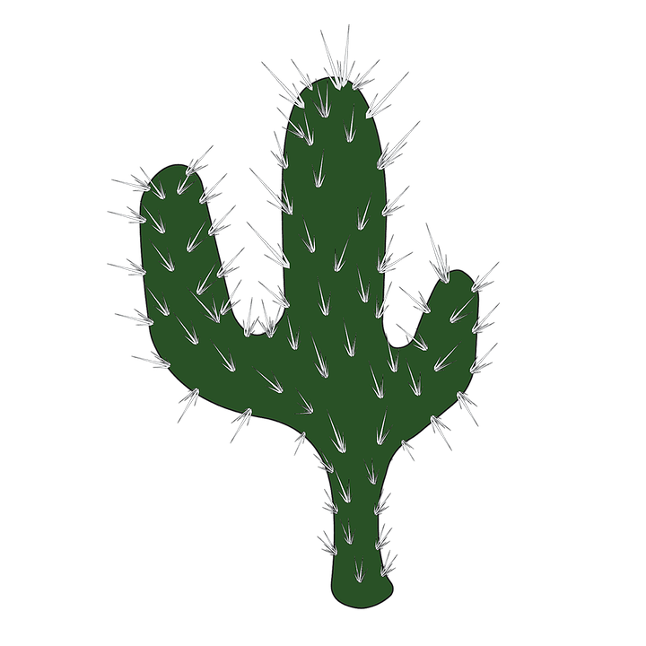 Cactus prikkel PNG Gratis Download