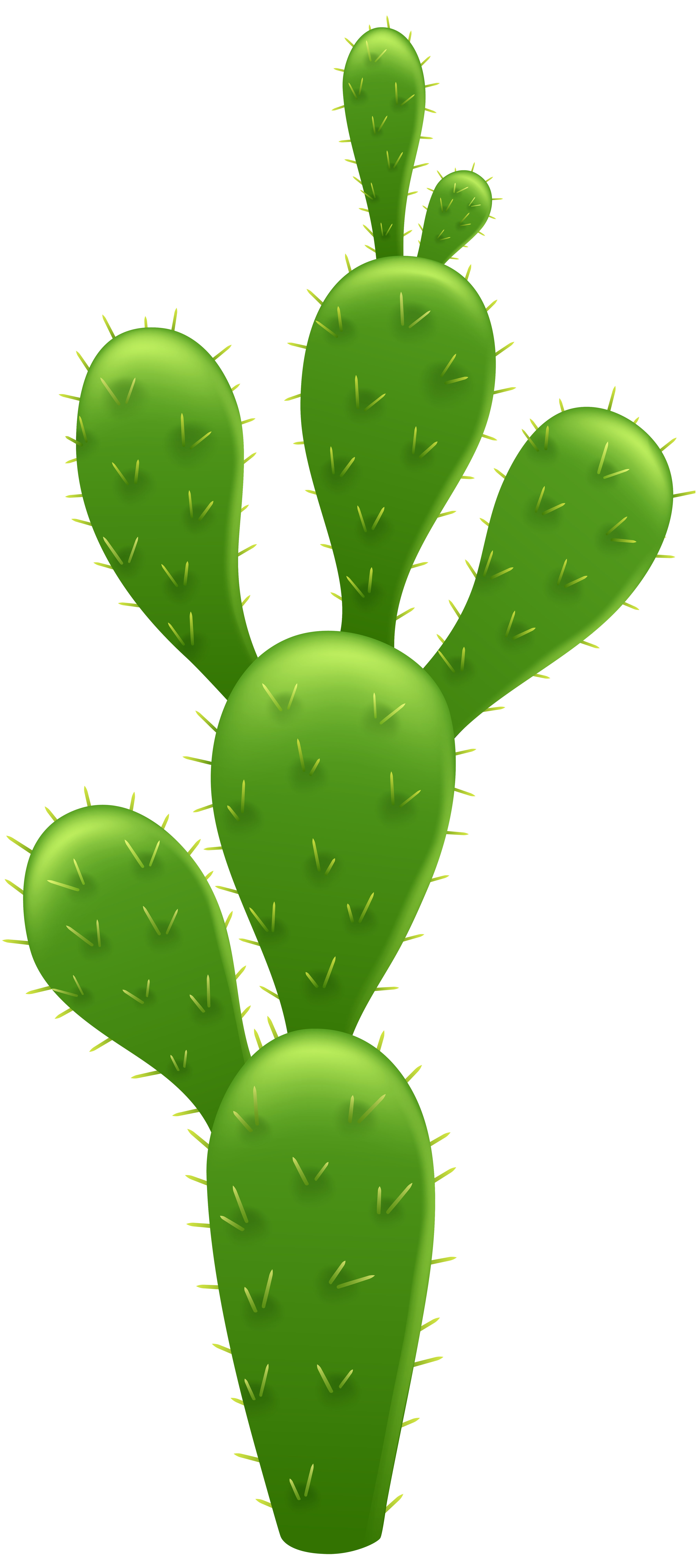 Cactus prikkel PNG hoogwaardig Beeld