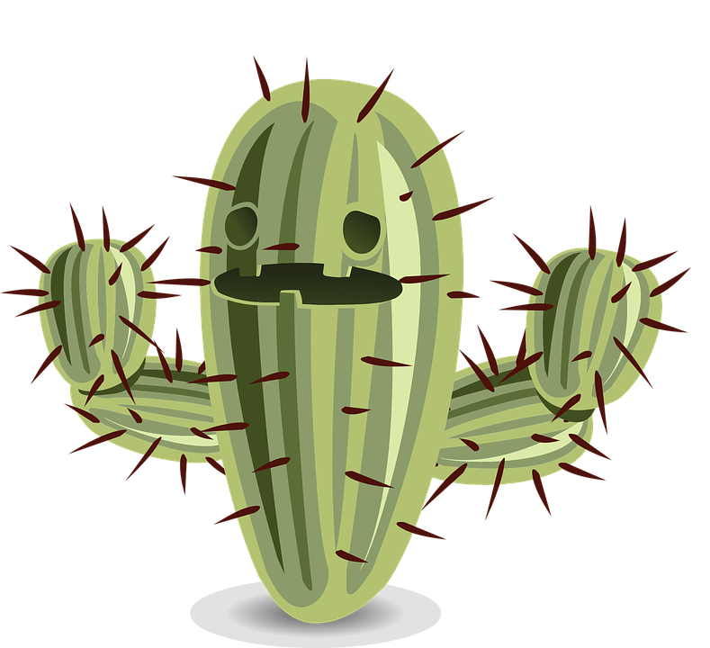 Cactus Prickle PNG Photo