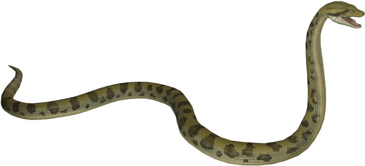 Imagen común de descarga de anaconda PNG