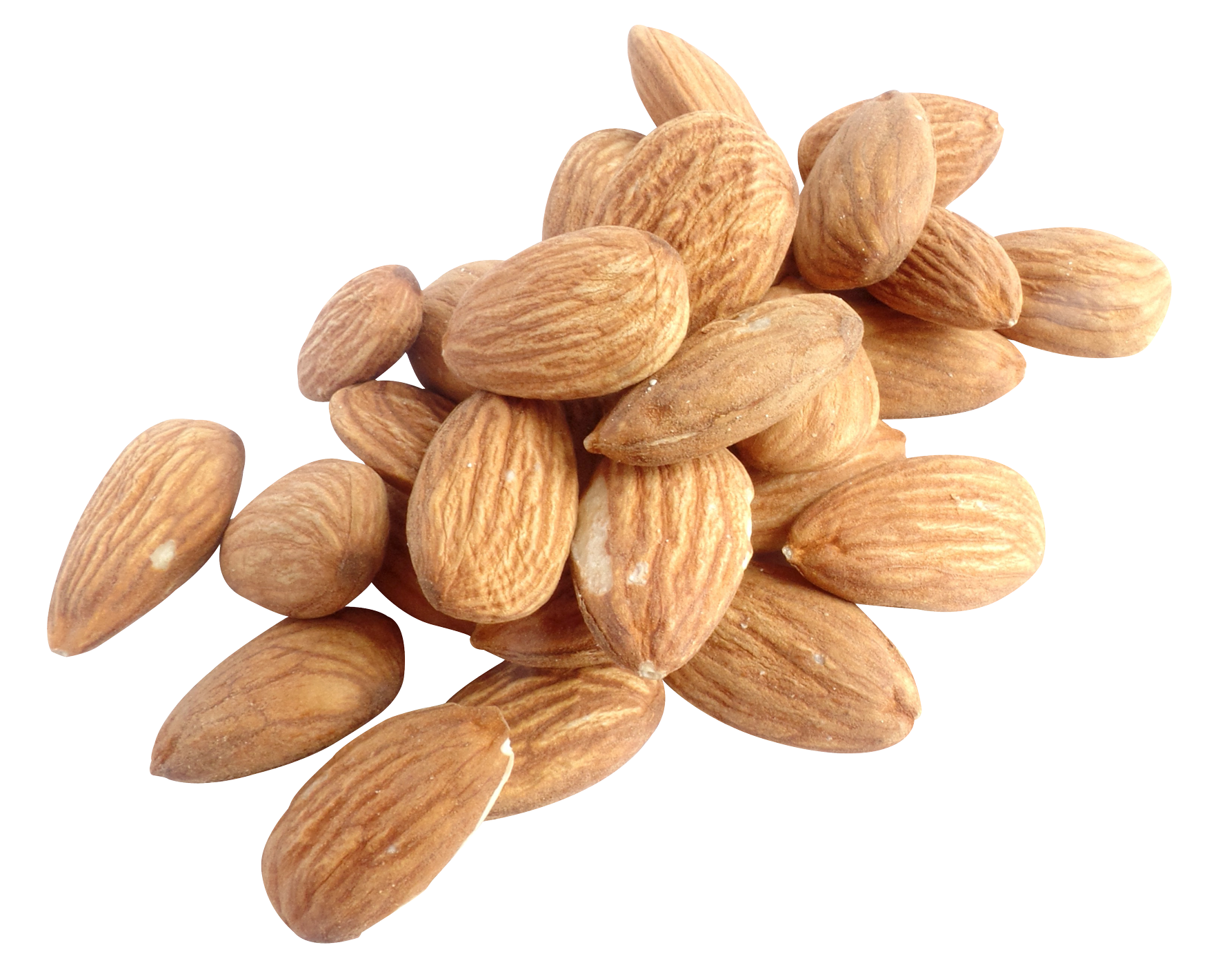 Gambar PNG Gratis almond kering