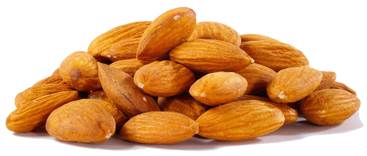 Dry Almond PNG Unduh Gambar