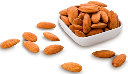 Dry Almond PNG Image Background