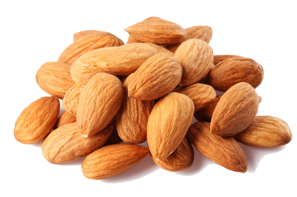 Dry Almond PNG Photo