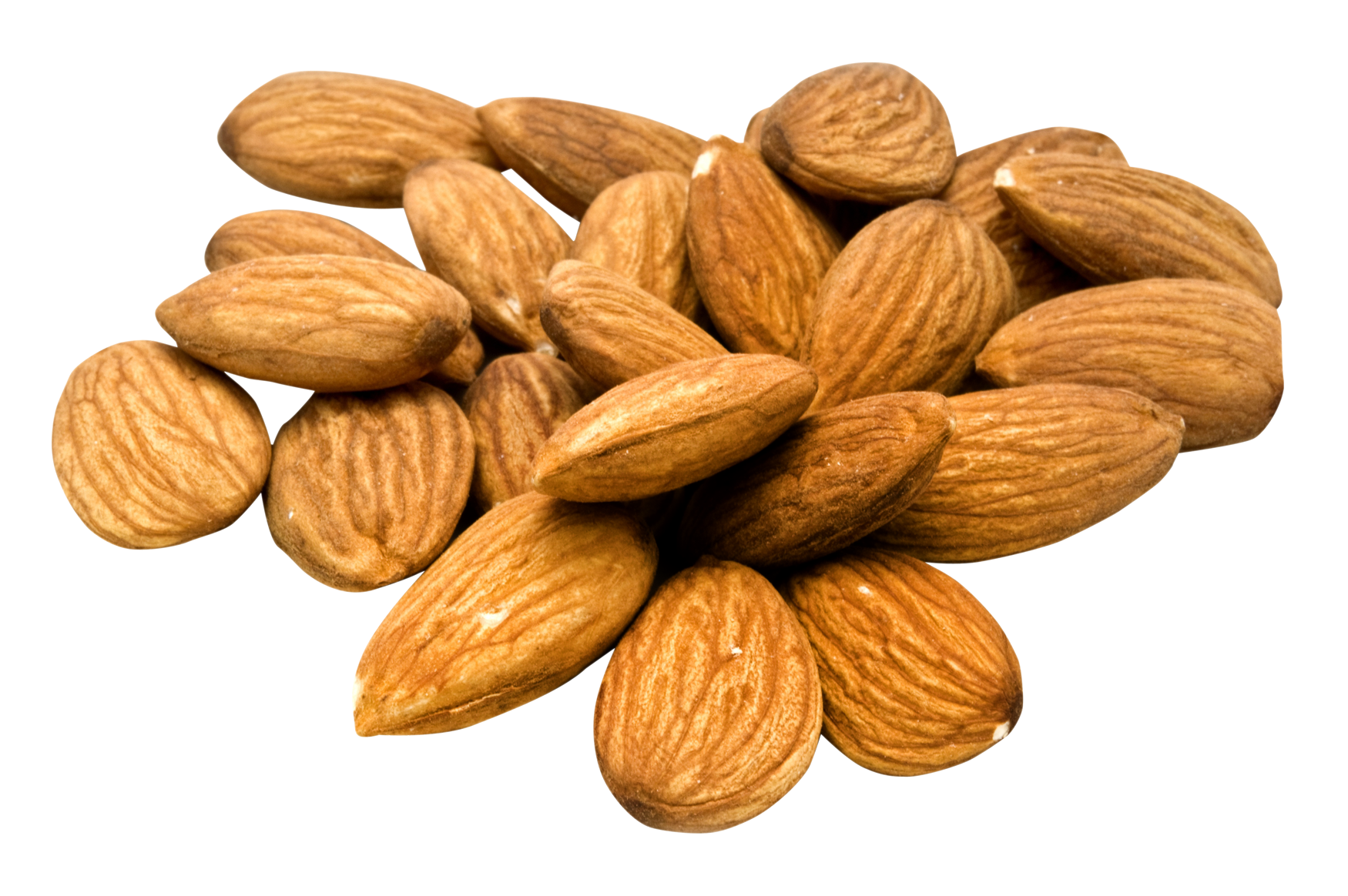 Gambar Transparan almond kering