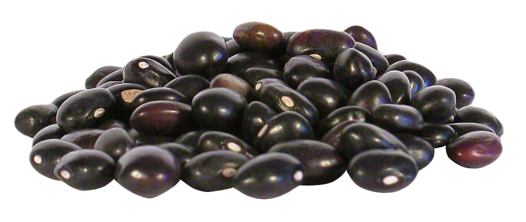 Dry Black Beans PNG Download Image