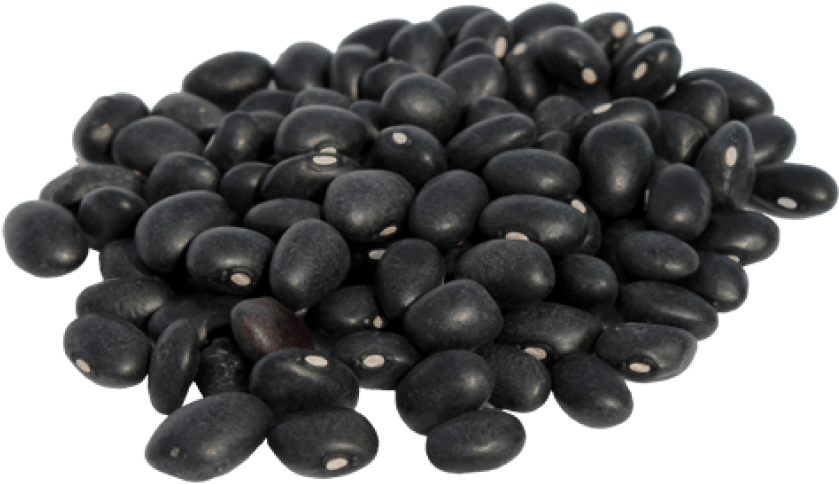 Dry Black Beans PNG Transparent Image