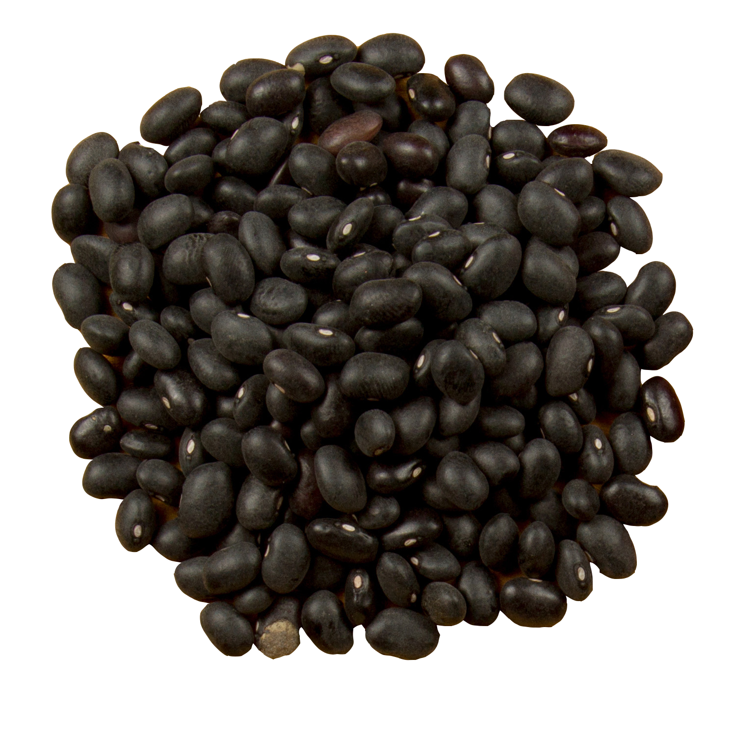 Dry Black Beans Transparent Image