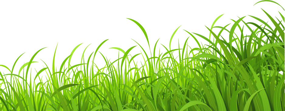 Farm Meadow PNG High-Quality Image