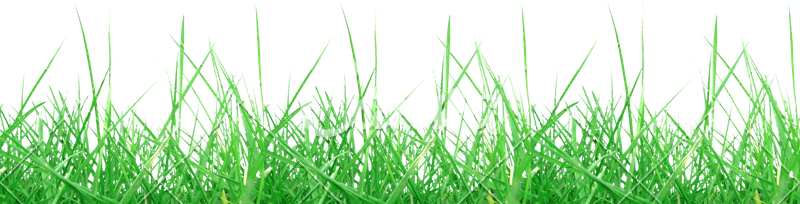 Farm Meadow PNG Image