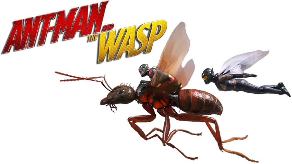Flying Ant Man PNG Photo