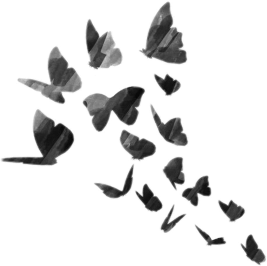 Image PNG papillon noir volant Transparente