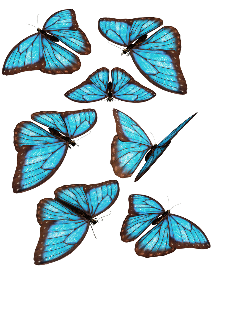 Летающие голубые бабочки PNG Скачать изображение