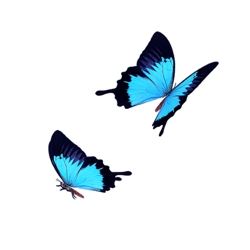 Uçan mavi kelebekler PNG Fotoğraf
