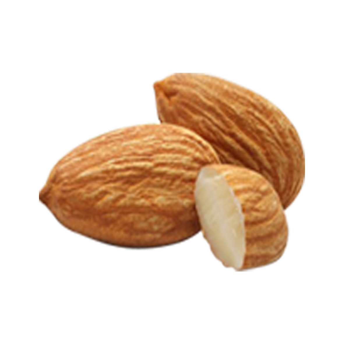 Fresh Almond PNG Download Image