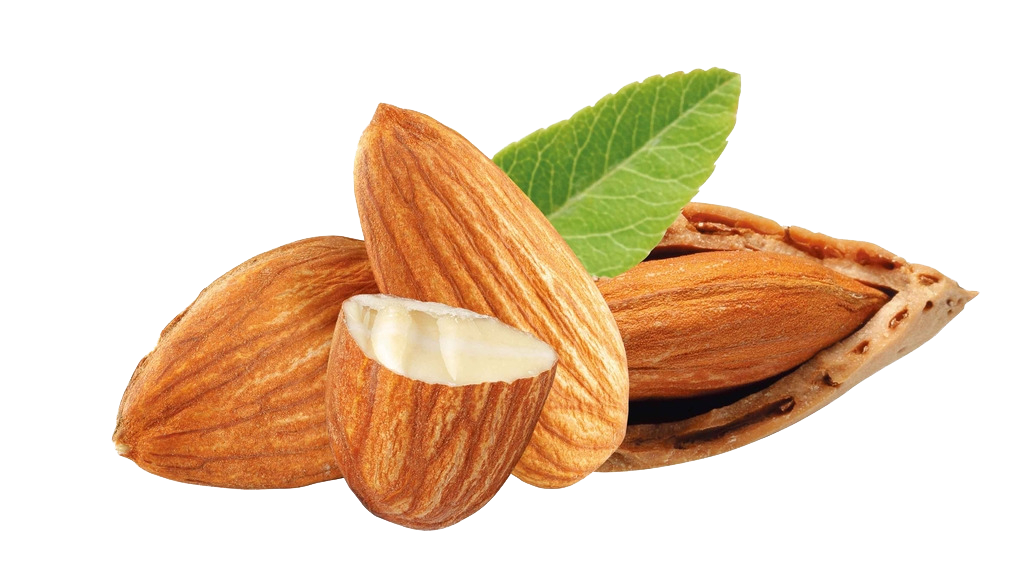Fresh Almond PNG Unduh Gratis