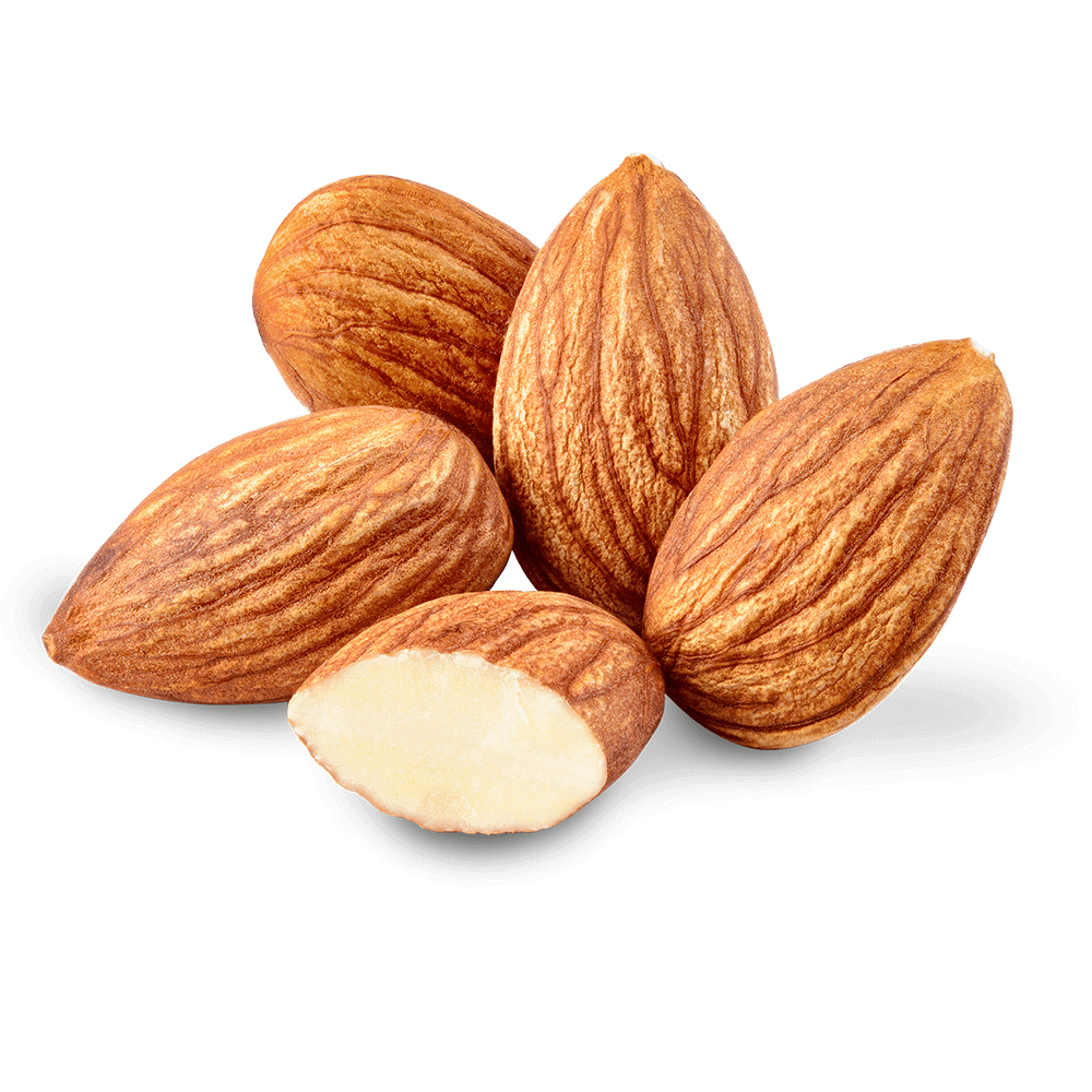Gambar almond segar PNG berkualitas tinggi