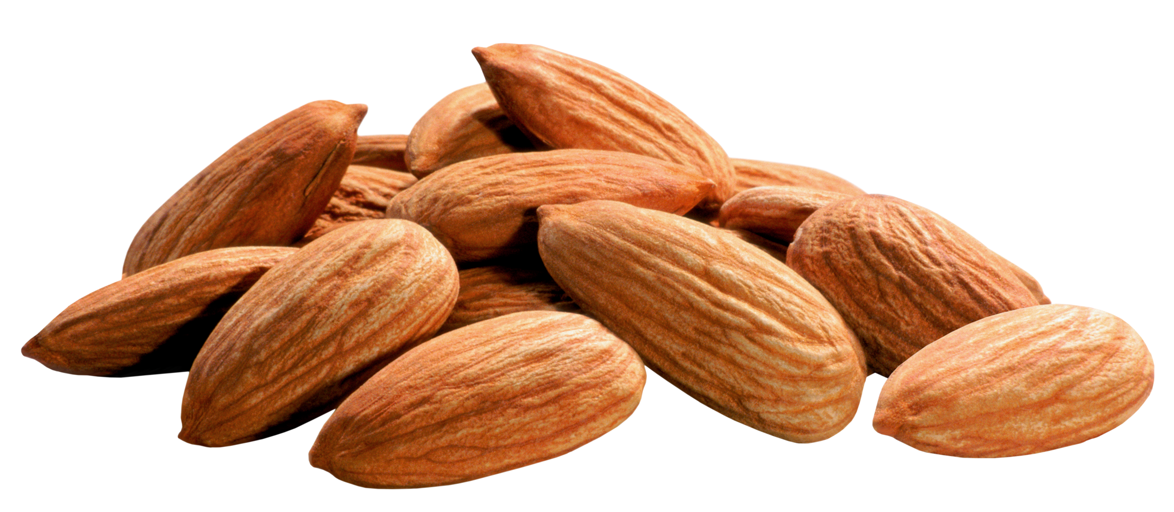 Fresh Almond PNG Image