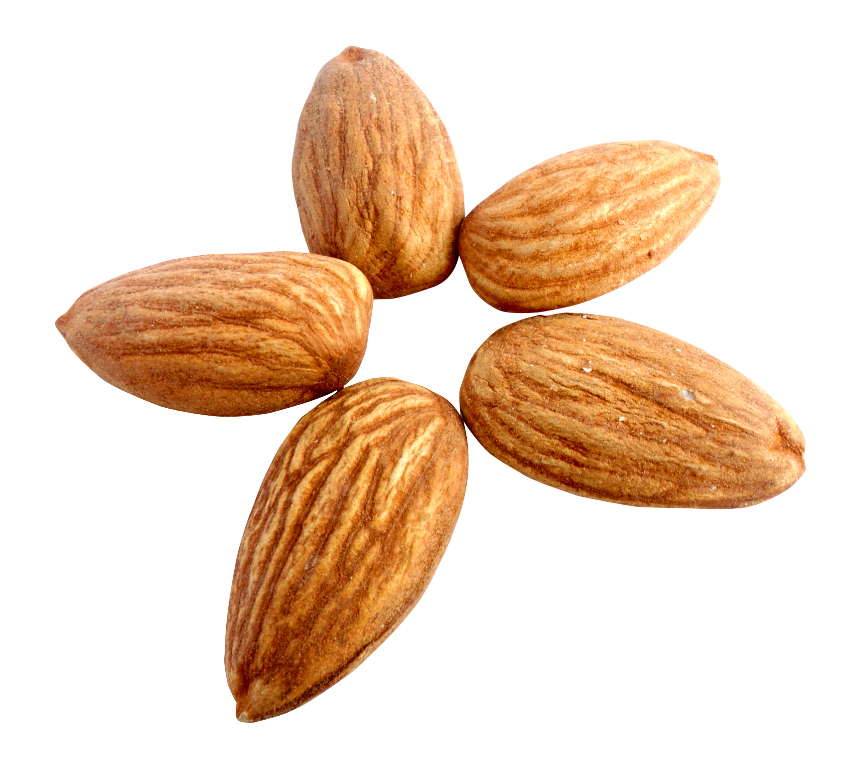 Pic PNG almond segar