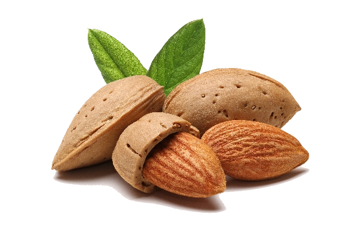 Gambar Transparan almond segar