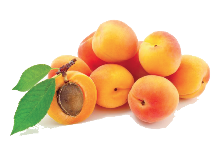 Fresh Apricot Free PNG Image