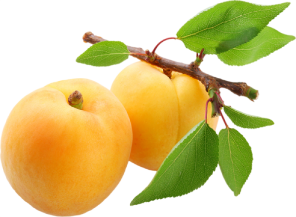 Fresh Apricot PNG Download Image