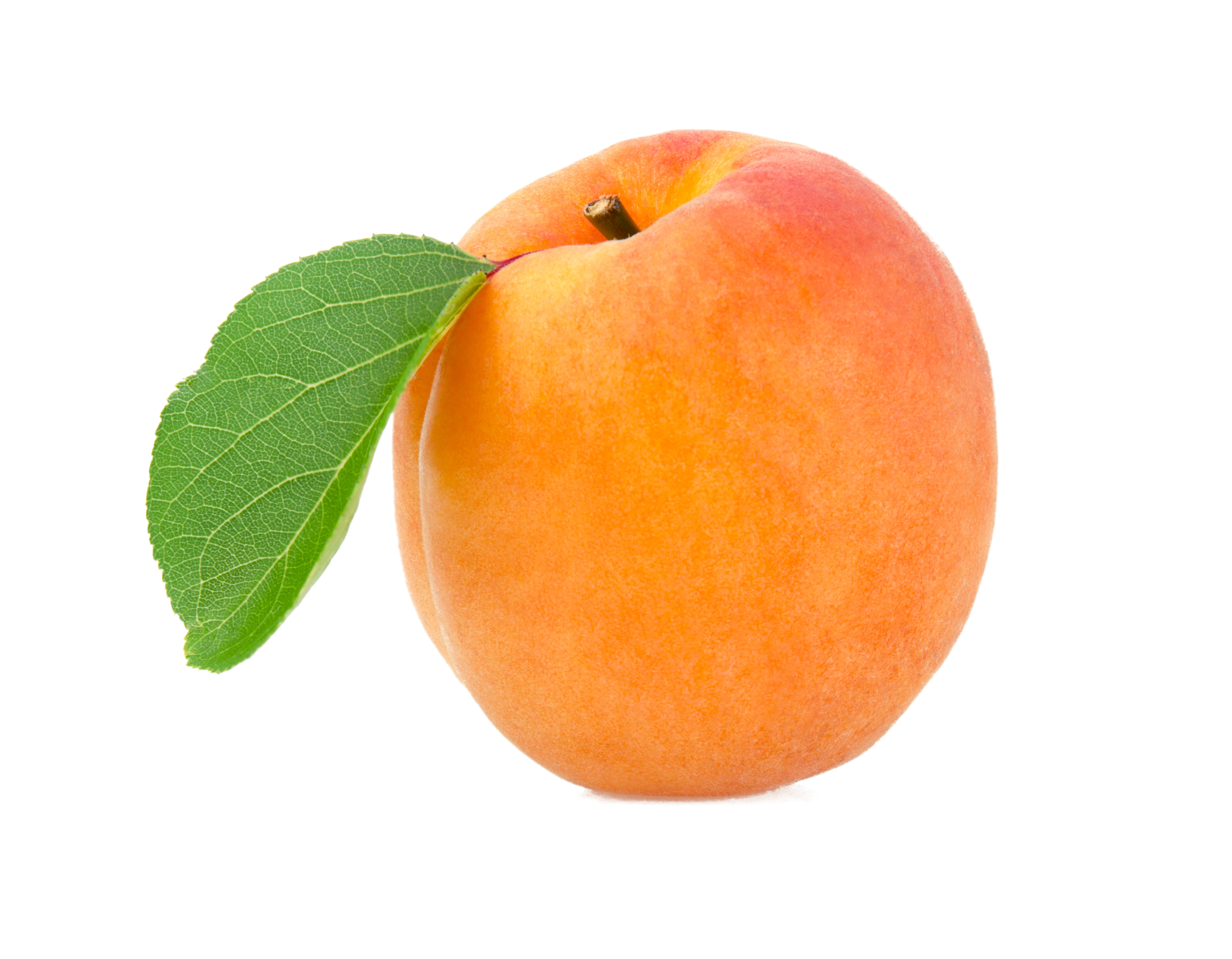 Fresh Apricot PNG Free Download